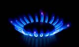 Photos of Methane Gas Burner