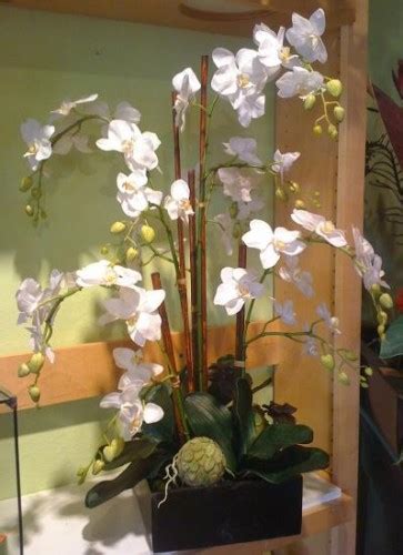 Decorating With Orchids And A Great Trick For Growing Them