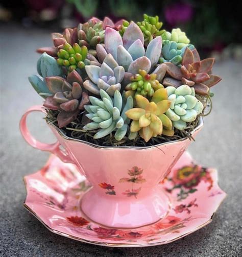 The best thing about these plants is that they can adapt to any kind of environment, which makes them an excellent candidate for an indoor garden landscaping. Pin by Debora Vieira on Faux Succulents | Succulents ...