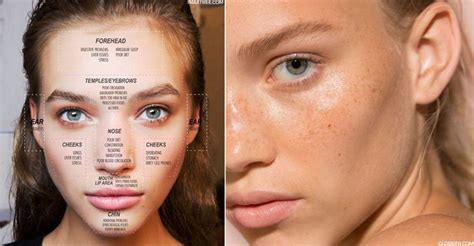Face Mapping What Your Skin Says About Your Health Face Mapping