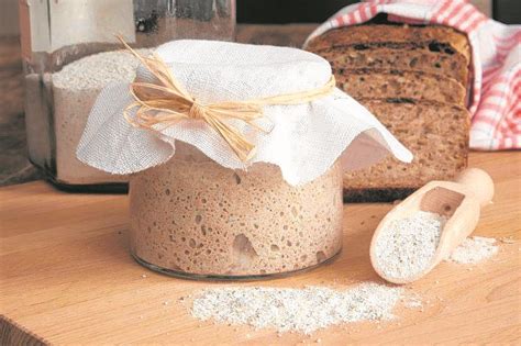 Paso A Paso Cómo Hacer Masa Madre Sin Gluten