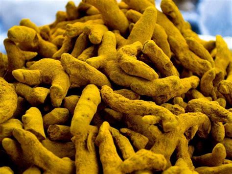 Turmeric Style Dried Fresh DLS Import Export Chennai Tamil Nadu