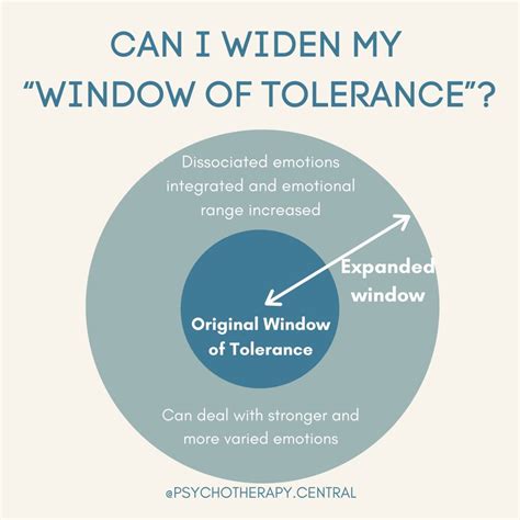 Can I Widen My “window Of Tolerance”