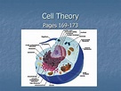 PPT - Cell Theory PowerPoint Presentation, free download - ID:5744107