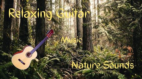 relaxing guitar music nature sounds youtube