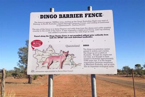 Dingo Fence Worlds Longest Fence Unbelievable Info