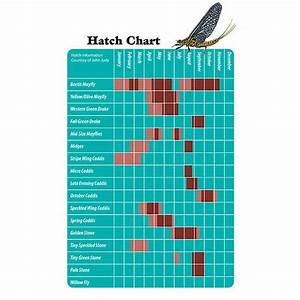 Fly Hatch Chart Pa