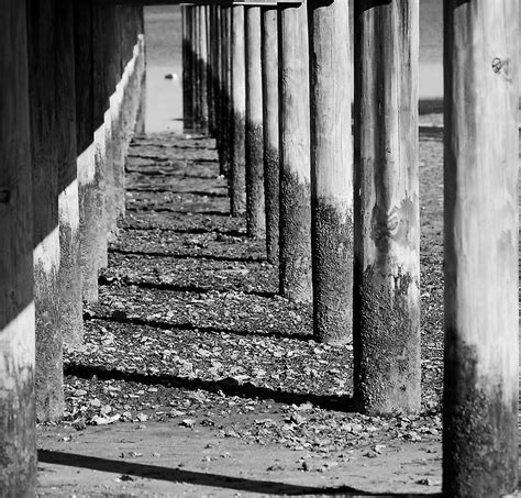 Under The Boardwalk Bw Photograph By Judy Hall Folde Pixels