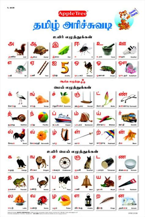 Buy Educational Charts Tamil Alphabet Book Online At Low Prices In