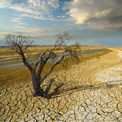 Climate Change Is Affecting All Life On Earth And Thats Not Good