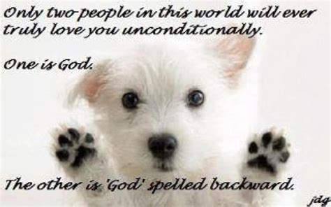 Unconditional Love Dog Quotes Dog Lovers I Love Dogs