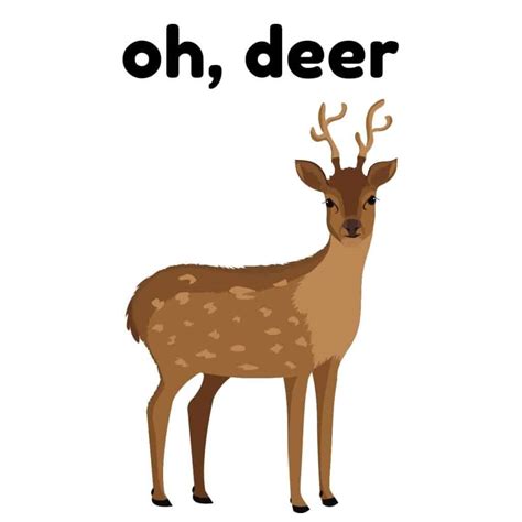 45 Deer Puns That Are Doe Funny Box Of Puns