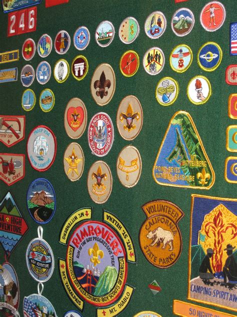 Tips To Make Boy Scout Merit Badges Easier