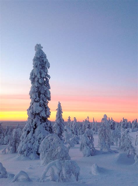 Levi Winter Wonderland Finland Lapland Winter Sunset Deep Winter