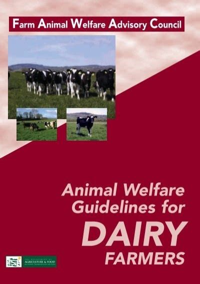 Animal Welfare Guidelines For Dairy Farmers Farm Animal