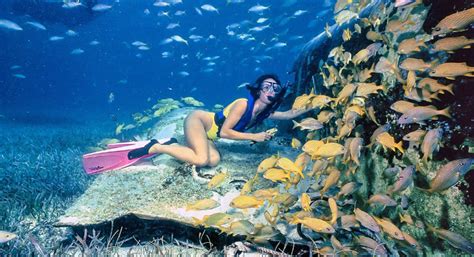 3 Of The Best Snorkelling Spots In The Caribbean