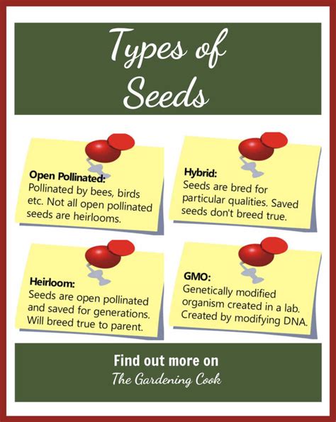 Seed Types Open Pollinated Heirloom And Hybrid