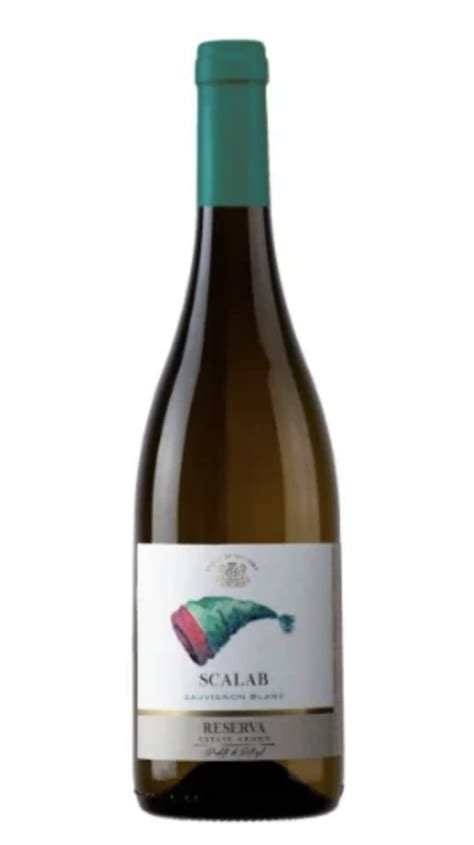 Comprar Scalab Sauvignon Blanc Reserva Branco 2019 Na Enovinho Vinhos