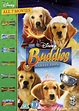 Buddies Collection | DVD Box Set | Free shipping over £20 | HMV Store