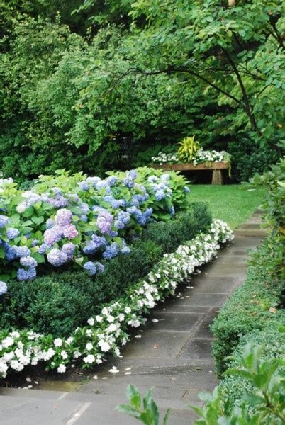 Garden Ideas With Hydrangeas Inspiration Interior Designs