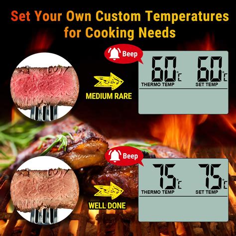 Thermopro Tp 16 Digital Meat Cooking Bbq Grill Oven Food Electronic