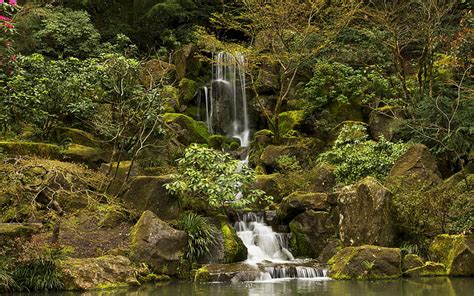 Waterfall Green Forest Jungle Rocks Stones Moss Hd Waterfalls And