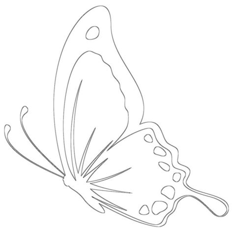 Wild Butterfly Coloring Page Cool Butterfly Outline