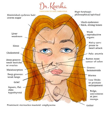 The Ancient Science Of Ayurvedic Face Mapping Dr Keesha Face