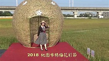 2018 桃園市楊梅花彩節 - YouTube