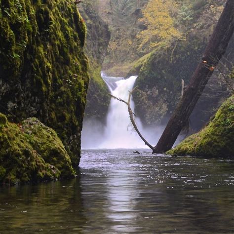 Punchbowl Falls On Eagle Creek A Tributary To The Mighty Columbia