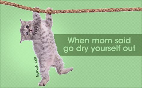 50 Cute And Funny Cat Pictures With Captions Cat Appy