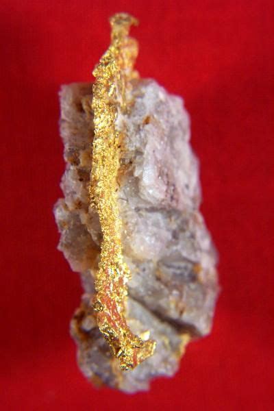 Gold Vein In Quartz Specimen Museum Grade 152 Gram Gold Specimens