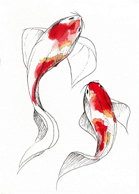 Watercolor Koi Fish Koi Art Koi Fish Drawing Fish Drawings