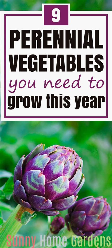 9 Awesome Perennial Vegetables You Need To Add To Your Garden Sunny