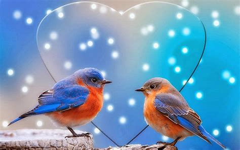 Inspirements Most Beautiful Birds Of The World