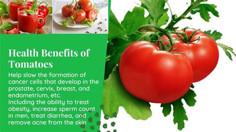 The Health Benefits Of Tomatoes Youtube