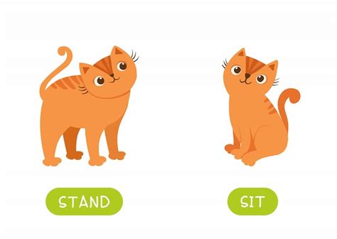 Premium Vector Antonyms And Opposites Stand And Sit Cartoon