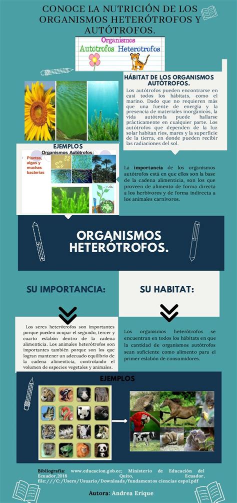 Calaméo Infografía De Los Organismos Autótrofos Y Heterótrofos