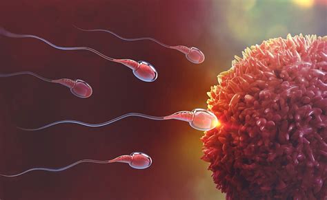 These 7 Surprising Things Influence Your Fertility