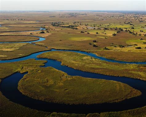 All You Need To Know About Okavango Delta Facts And Information Tourradar