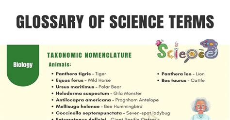 Science Terms Science Words Scientific Terminology ESL