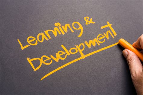 Why Learning And Development Opportunities Are Important To Your