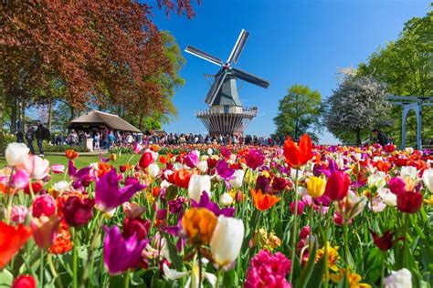12 best festivals in the netherlands unique dutch celebrations you won t find anywhere else