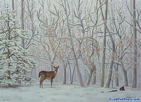 Hidden Deer Optical Illusion Visualfunhouse