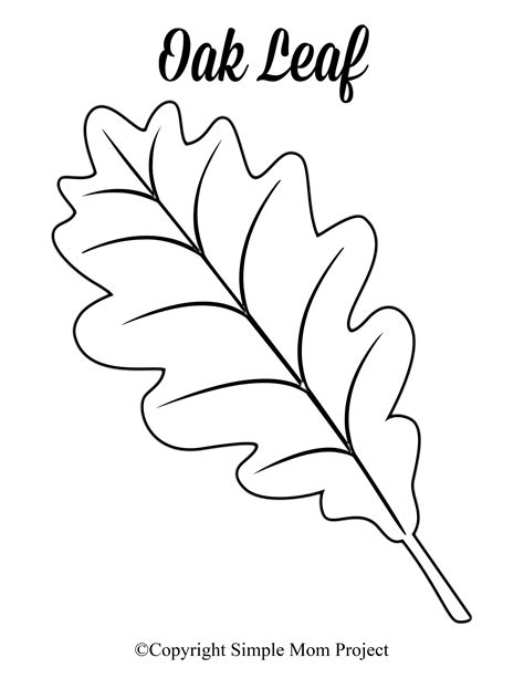 English Oak Leaf Coloring Page Printable