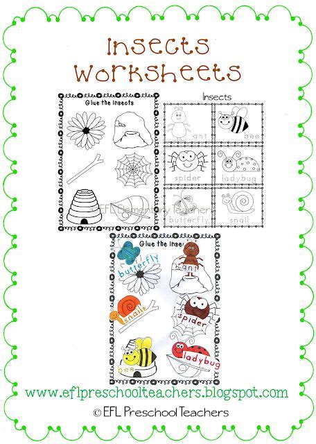 Esl Insects Worksheets Elementary Special Education Activities