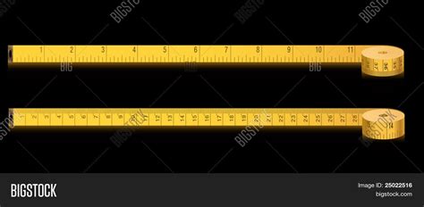 Measure Tape Inches Centimeters Vector And Photo Bigstock