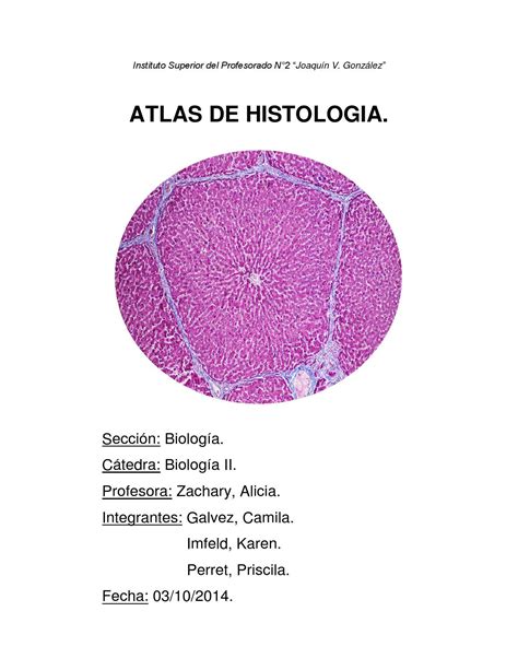 Atlas De Histologia By Priscila Perret Issuu