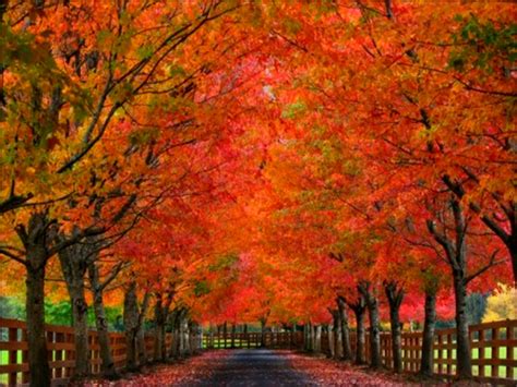 Autumn Autumn Wallpaper 32377302 Fanpop