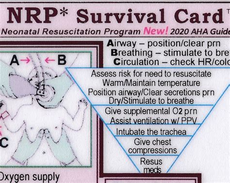 Survival Cards